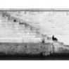 Aerodynamic Leather Knife pt-PT
